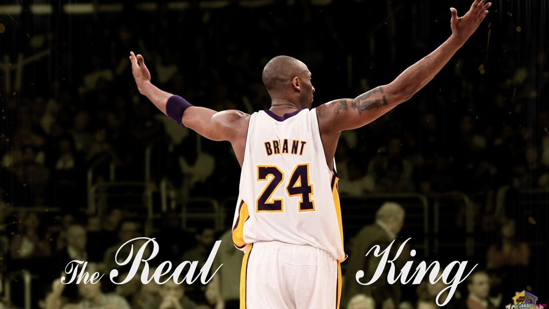 体育新闻中心首次发布全民运动数据年度趋势,全民体育运动宣传